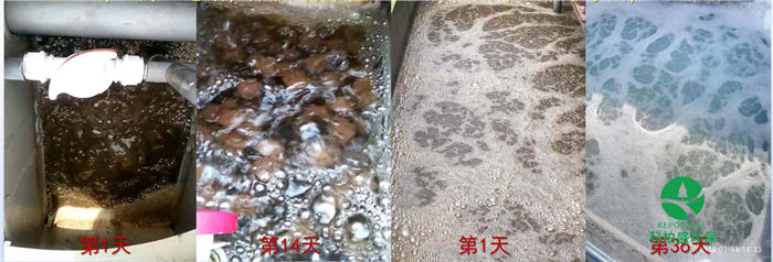 �ڲ�����Ϸ���� - ����Ϊ��,רҵ����!