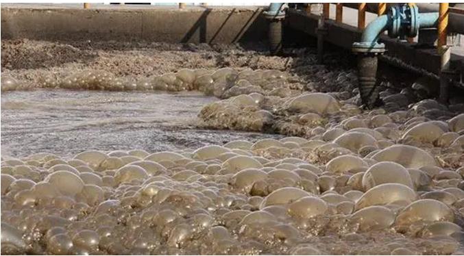 �ڲ�����Ϸ���� - ����Ϊ��,רҵ����!