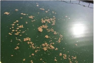 �ڲ�����Ϸ���� - ����Ϊ��,רҵ����!