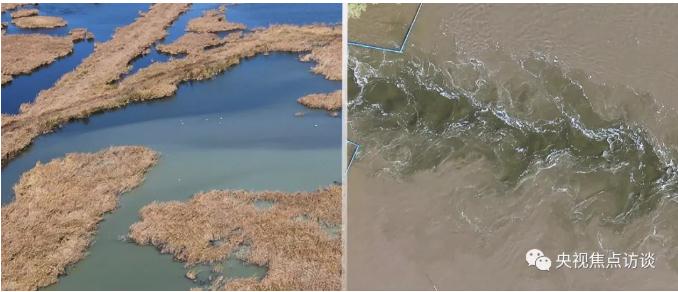 �ڲ�����Ϸ���� - ����Ϊ��,רҵ����!