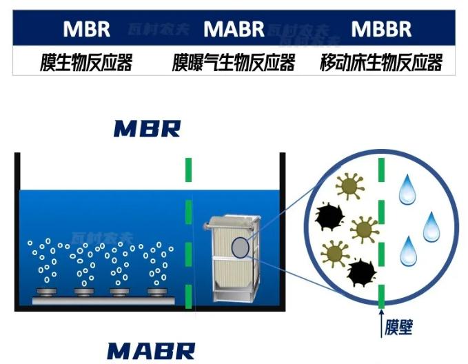 �ڲ�����Ϸ���� - ����Ϊ��,רҵ����!