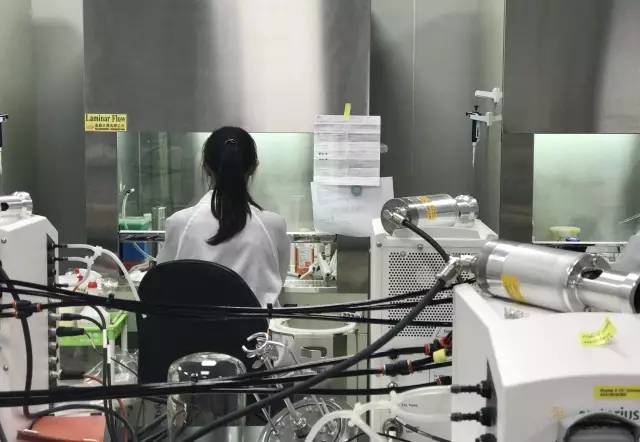 AG真人官方(中国)官方网站IOS/安卓通用版/手机app下载