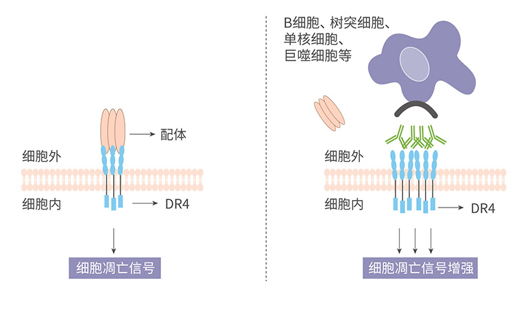 AG真人官方(中国)官方网站IOS/安卓通用版/手机app下载