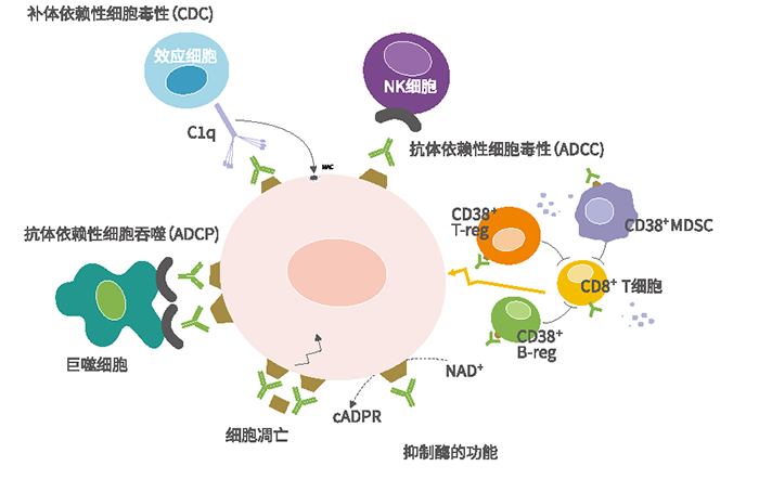 AG真人官方(中国)官方网站IOS/安卓通用版/手机app下载