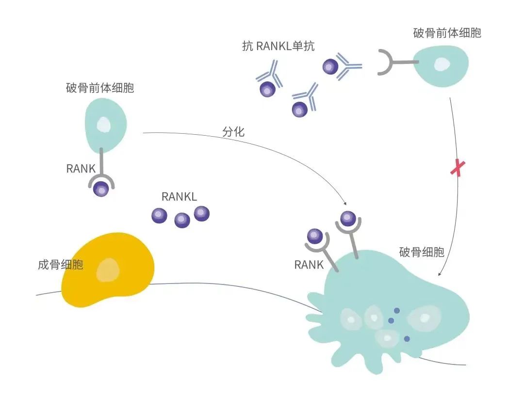 AG真人官方(中国)官方网站IOS/安卓通用版/手机app下载