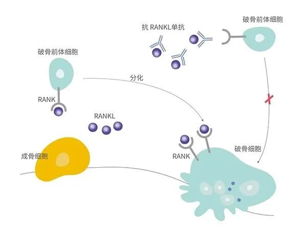 AG真人官方(中国)官方网站IOS/安卓通用版/手机app下载