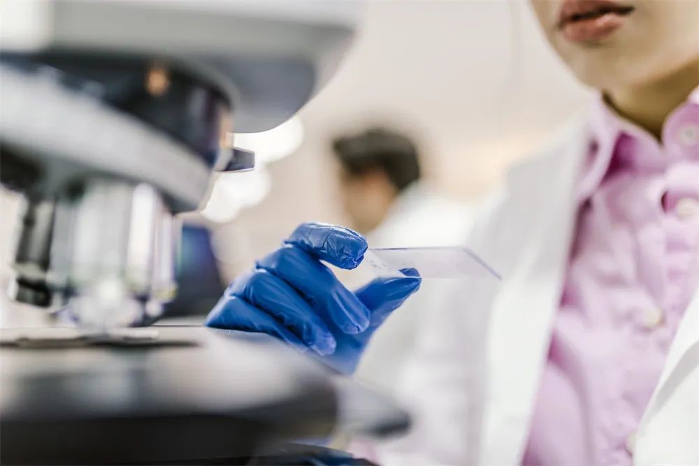 AG真人官方(中国)官方网站IOS/安卓通用版/手机app下载