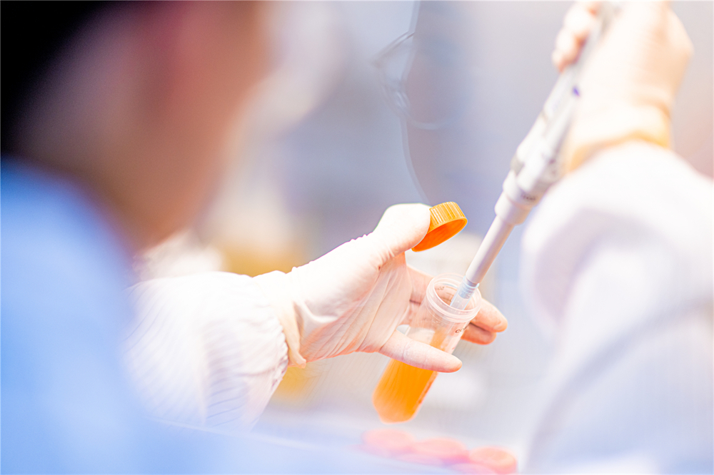 AG真人官方(中国)官方网站IOS/安卓通用版/手机app下载