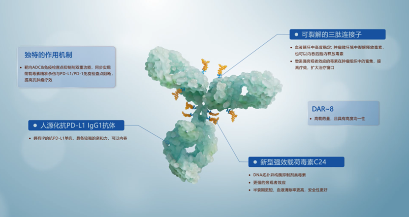 AG真人官方(中国)官方网站IOS/安卓通用版/手机app下载