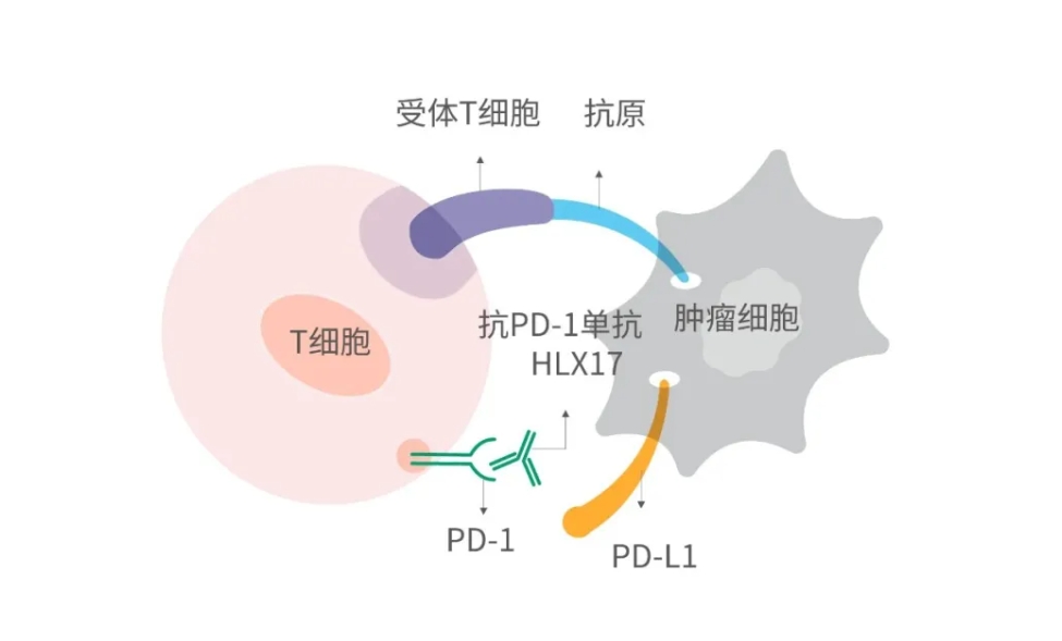 AG真人官方(中国)官方网站IOS/安卓通用版/手机app下载